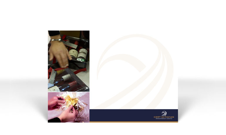 adstorm-portfolio-ppt2.jpg